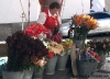 10_Flower_seller.jpg