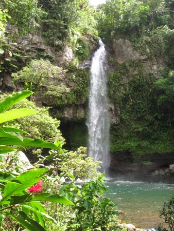 22_Waterfall_Taveuni.jpg