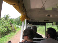 20_Bus_Taveuni.jpg