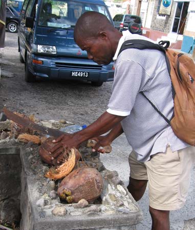 38_StLucia_Soufriere_Denis_Opening_Coconuts.jpg