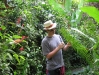 29a_StLucia_Diamond_Gardens_Ferns.jpg