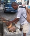 38_StLucia_Soufriere_Denis_Opening_Coconuts.jpg