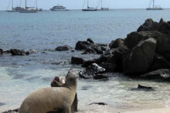 San Cristobal, Galapagos