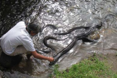 Huahine, Society Islands
