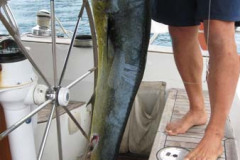 Bora Bora, Society Islands