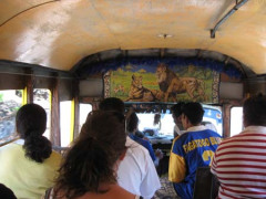 03 Local bus complete with load stereo.jpg