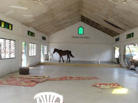 28 Horse checks out clean community centre.jpg