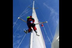 St. Petersburgh Dash