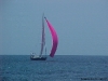 01_Spinnaker.JPG