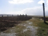 1506_ring_brodgar.jpg