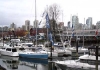 False_bay_marina1.jpg